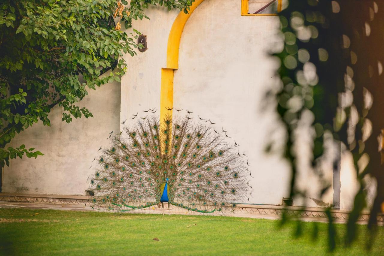 Diggi Palace - A City Center Hidden Heritage Gem Jaipur Exteriör bild